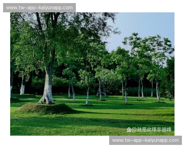 草地赛季微博热议:绿意盎然中的赛场新风尚 草地赛季微博热议:绿意盎然中的赛场新风尚